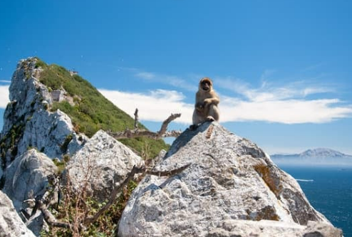 Gibraltar-rock-and-ape